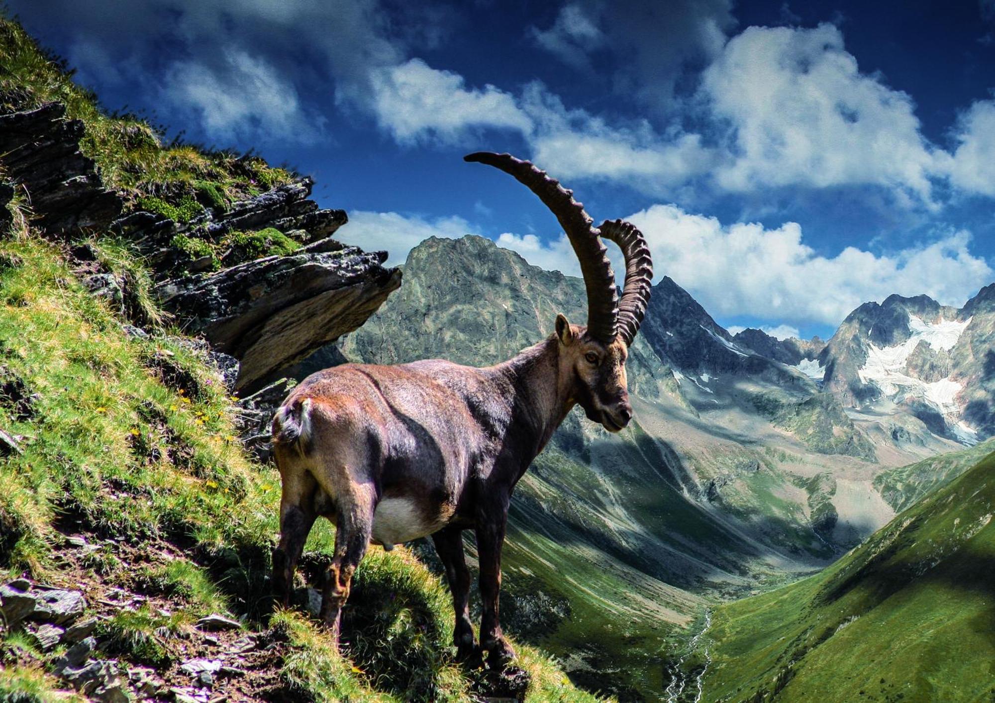 Apart Alpenzeit Arzl im Pitztal Bagian luar foto