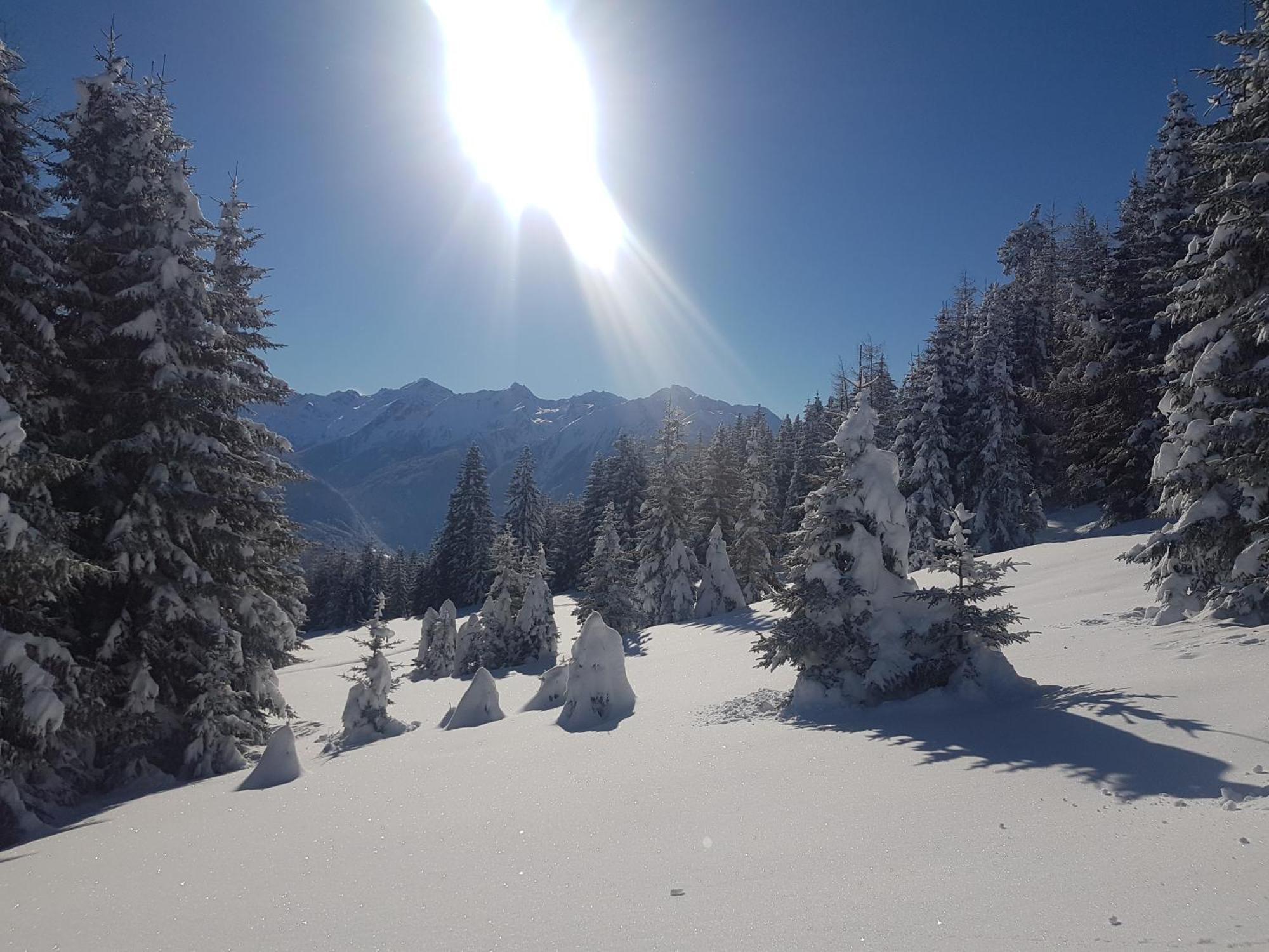 Apart Alpenzeit Arzl im Pitztal Bagian luar foto